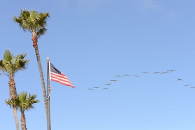DSC_4346.JPG