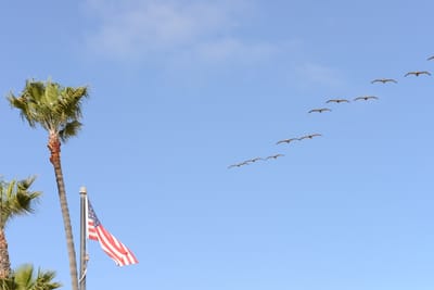 DSC_4347.JPG