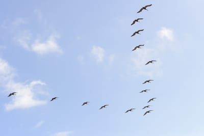DSC_4349.JPG