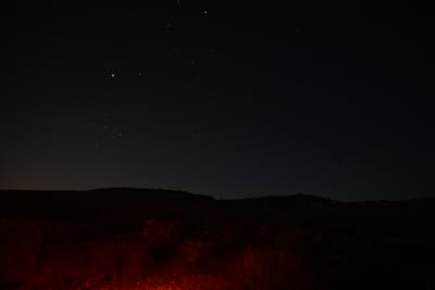 DSC_4433.JPG