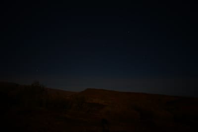DSC_4436.JPG