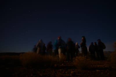 DSC_4445.JPG