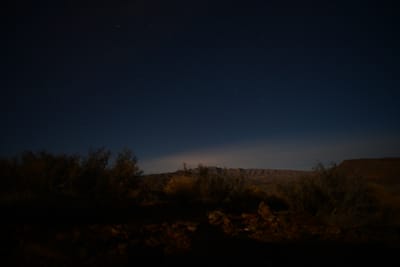 DSC_4446.JPG