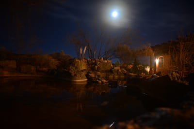 DSC_4459.JPG
