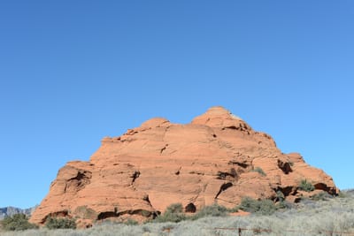 DSC_4904.JPG