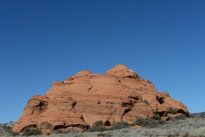 DSC_4905.JPG