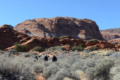 DSC_4906.JPG