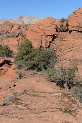 DSC_4909.JPG