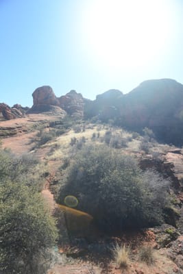 DSC_4914.JPG