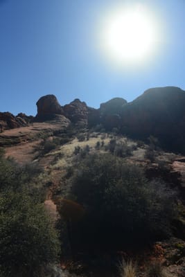 DSC_4915.JPG