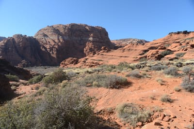 DSC_4916.JPG