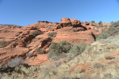 DSC_4920.JPG