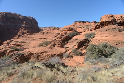 DSC_4921.JPG