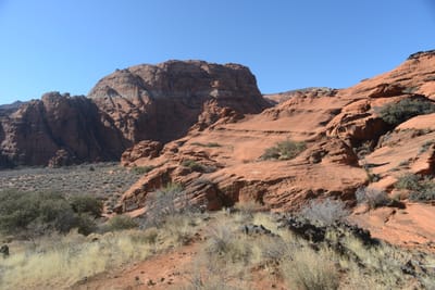 DSC_4922.JPG