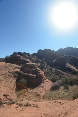 DSC_4983.JPG