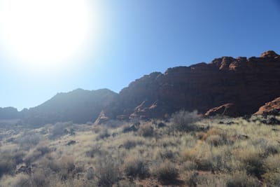 DSC_4985.JPG