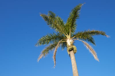 DSC_2835.jpg