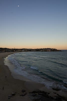 DSC_2843.jpg