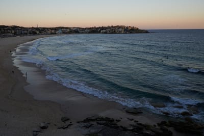 DSC_2845.jpg