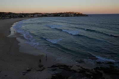 DSC_2846.jpg