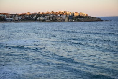 DSC_2847.jpg