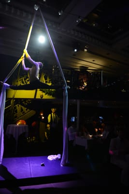 DSC_4523.JPG