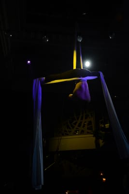 DSC_4524.JPG