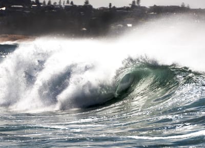 DSC_7513.JPG