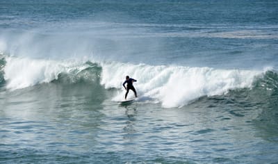 DSC_7529.JPG