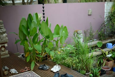 DSC_4021.JPG