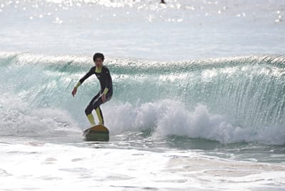 e DSC_3602_1.jpg