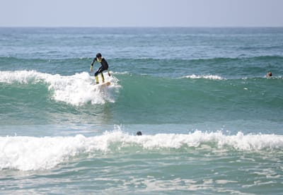 e DSC_3735_1.jpg