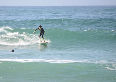 e DSC_3739_1.jpg