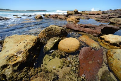 e DSC_7217.jpg