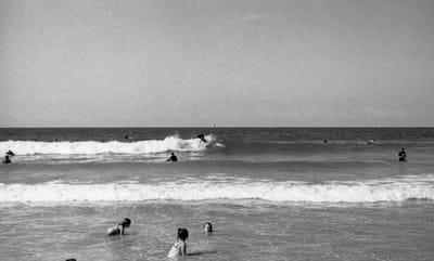 Nikon F3 016.jpg