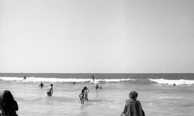 Nikon F3 017.jpg