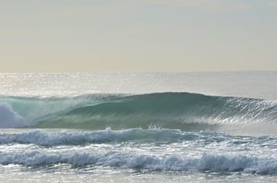 e DSC_0018.jpg