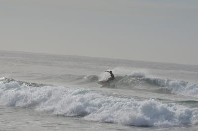 e DSC_0026.jpg