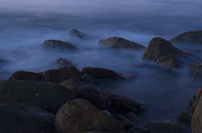 e DSC_0029 (2).jpg