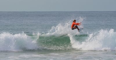 e DSC_0042.jpg
