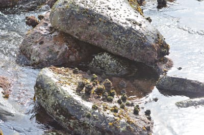 e DSC_0048.jpg
