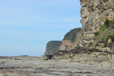 e DSC_0049.jpg