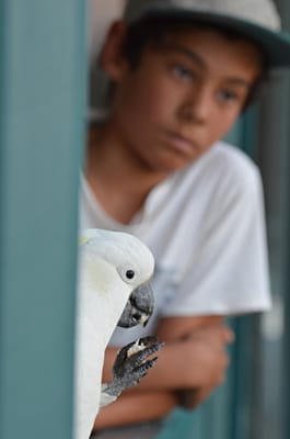 e DSC_0070.jpg