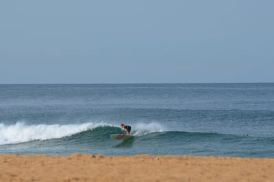 e DSC_0088.jpg