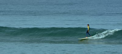 e DSC_0094.jpg