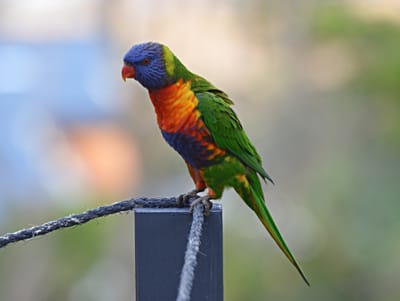 e DSC_0112.jpg