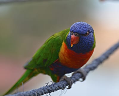 e DSC_0115.jpg