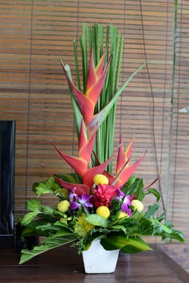 DSC_5866.JPG