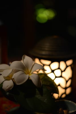 DSC_5889.JPG