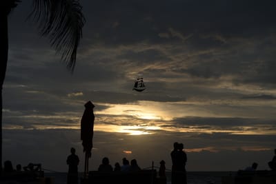 DSC_6466.JPG